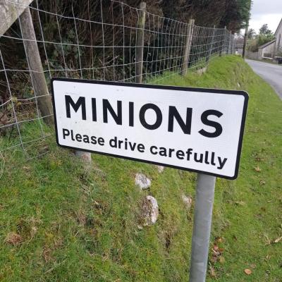 Minions