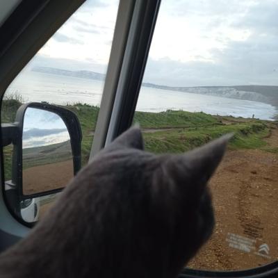 Nelsonseaview