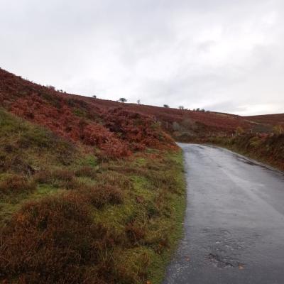 Viewheatherroad