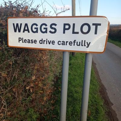 Waggsplot