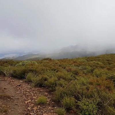 Trail7